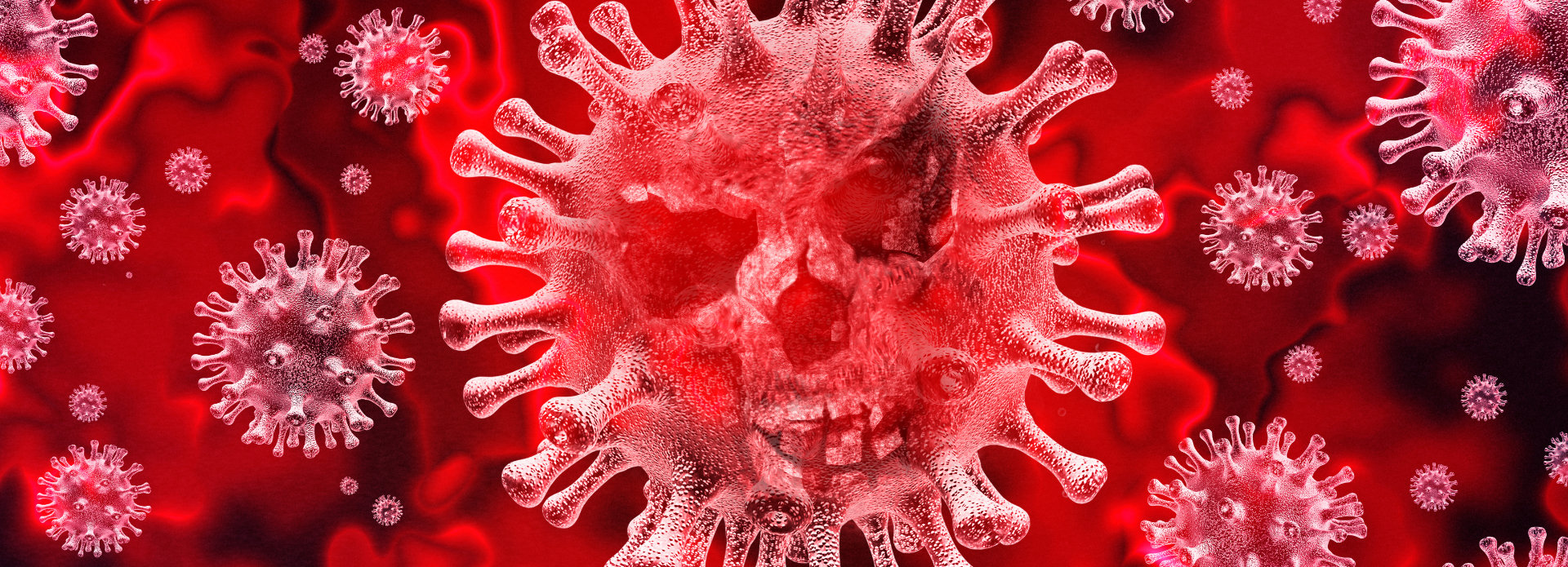 visualisation of virus